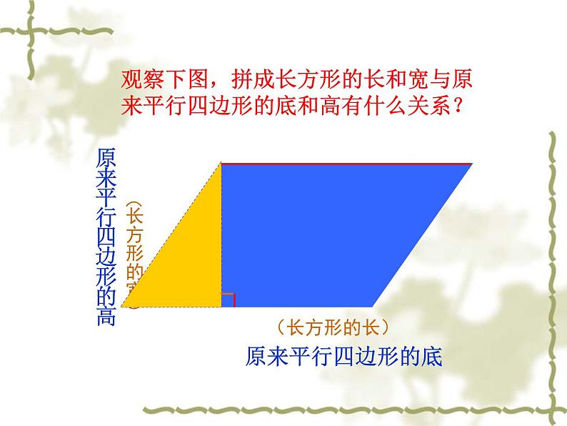 五年级上册数学课件-4.4 探索活动：三角形的面积（5）-北师大版05