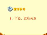 六年级上册数学课件-1.2 圆的面积（二）（1）-北师大版