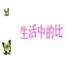 六年级上册数学课件-6.1 生活中的比（3）-北师大版