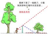 观察的范围PPT课件免费下载