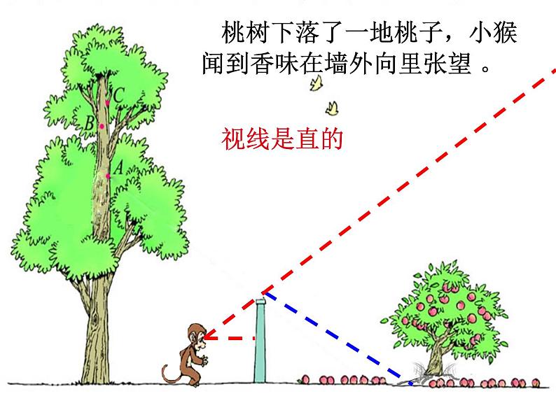 六年级上册数学课件-3.2 观察的范围（2）-北师大版第2页