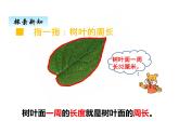 西师大版三年级数学上册 七、1认识周长（课件）