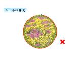 三年级上册数学 第五单元 1周长的含义（课件） 青岛版（五四制）