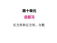 小学数学人教版三年级上册10 总复习教案配套ppt课件