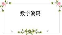 西师大版四年级上册数字编码教学ppt课件