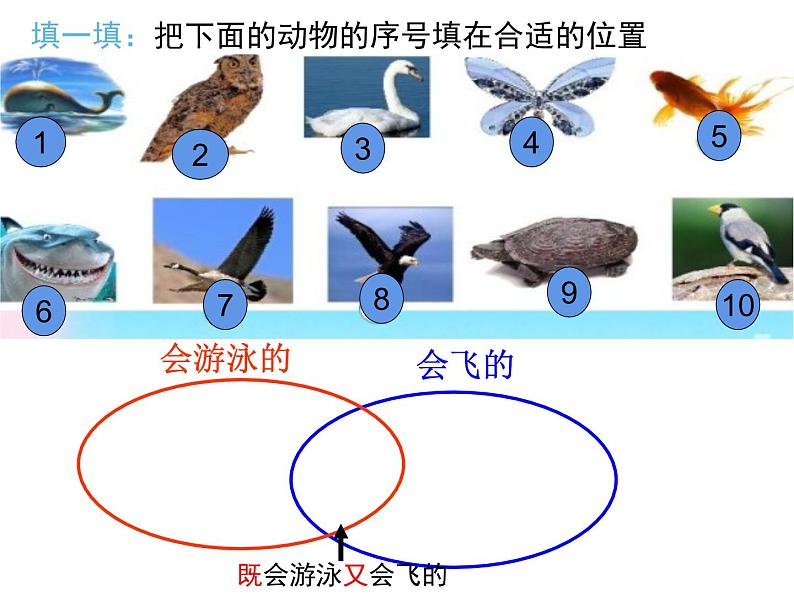 三年级数学上册课件-9.  数学广角——集合（12）-人教版第7页