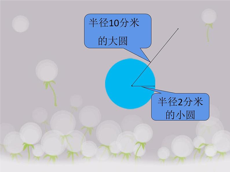 西师大版六年级数学上册 2 圆 整理与复习课件PPT第8页