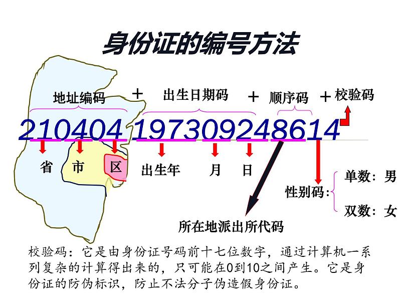 西师大版四年级数学上册 1.3 数字编码课件PPT第4页