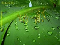 小学数学西师大版四年级上册综合与实践：节约1粒米图片课件ppt