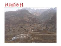 西师大版五年级数学上册 综合与实践：关注惠农政策课件PPT