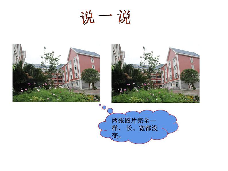 5.1 图形的放大或缩小（3）（课件）-2021-2022学年数学六年级上册-西师大版03