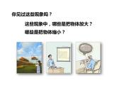 5.1 图形的放大或缩小（3）（课件）-2021-2022学年数学六年级上册-西师大版