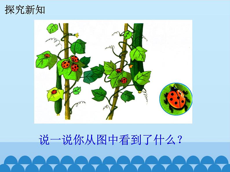 二年级上册数学课件-7 表内乘法和除法（二）-6、7的乘法口诀6-冀教版04