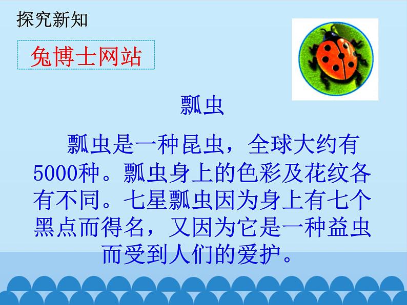 二年级上册数学课件-7 表内乘法和除法（二）-6、7的乘法口诀6-冀教版05