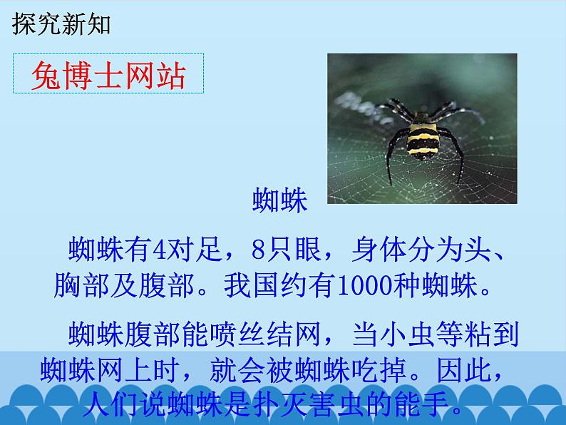 二年级上册数学课件-7 表内乘法和除法（二）-7、8、9的乘法口诀2-冀教版05