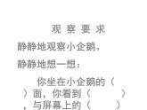 二年級上冊數(shù)學(xué)課件-1 觀察物體-冀教版
