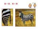 二年級上冊數(shù)學(xué)課件-1 觀察物體2-冀教版