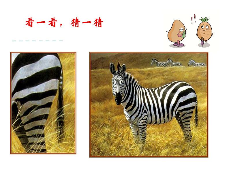 二年级上册数学课件-1 观察物体2-冀教版第2页