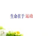 三年級上冊數(shù)學(xué)課件-3 平移現(xiàn)象-冀教版