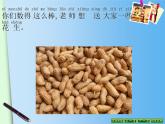 北师大标准版一年级数学下册 数花生 课件之三