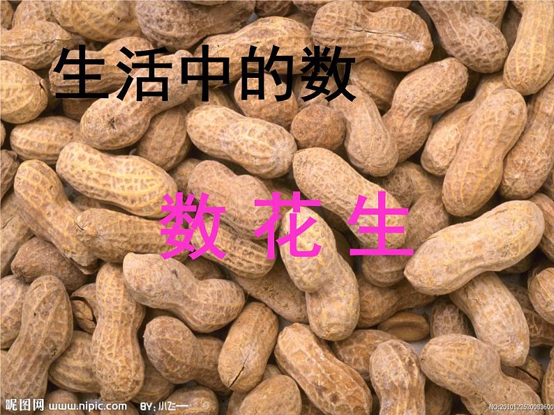 北师大标准版一年级数学下册 数花生 课件第2页