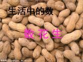 北师大标准版一年级数学下册 数花生 课件