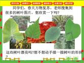 滬教版三年級數(shù)學(xué)下冊 周長 PPT課件