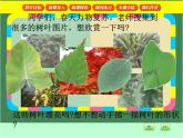 滬教版三年級(jí)數(shù)學(xué)下冊(cè) 周長(zhǎng) 課件之二