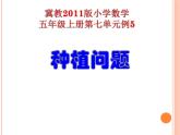 7 种植问题（课件）数学五年级上册-冀教版