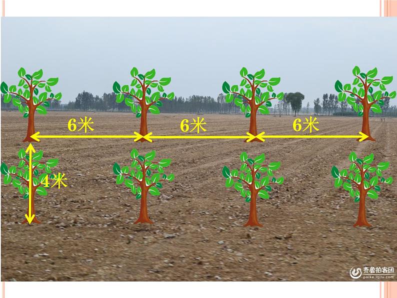 7 种植问题（课件）数学五年级上册-冀教版第3页