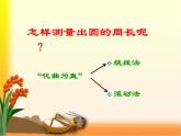 4 圓的周長(zhǎng)6（課件）數(shù)學(xué)六年級(jí)上冊(cè)-冀教版