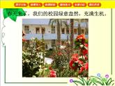 周长与面积PPT课件免费下载