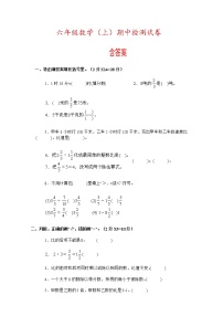 人教版六年级(上)数学期中测试卷 (无答案） (7)