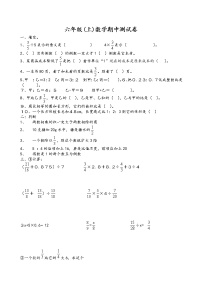 人教版六年级(上)数学期中测试卷 (无答案） (11)