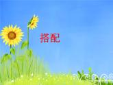 搭配PPT课件免费下载