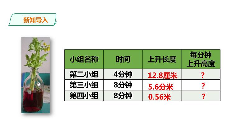 五年级上册数学课件-2.7 小数除以整数（一） 课件PPT05