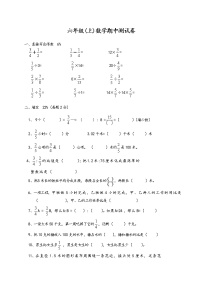 人教版六年级(上)数学期中测试卷 (无答案） (2)