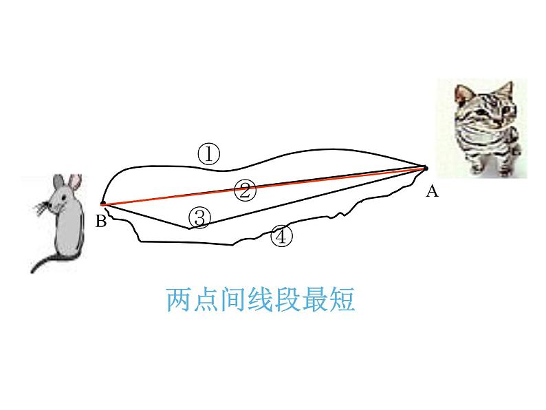 3.1 线段、直线和射线（课件）-2021-2022学年数学四年级上册-西师大版第4页