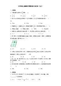 六年级上册数学试卷  期末复习试卷（五）苏教版（无答案）