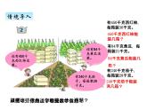 青岛版（六三制） 四年级数学上册五、2除数是整十数的笔算及试商（课件）