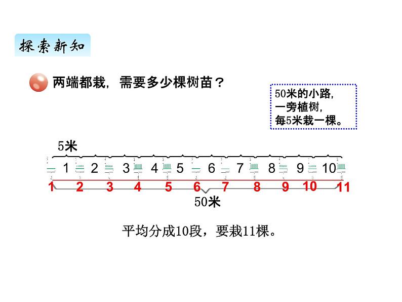 青岛版（六三制） 四年级数学上册智慧广场植树问题（课件）04