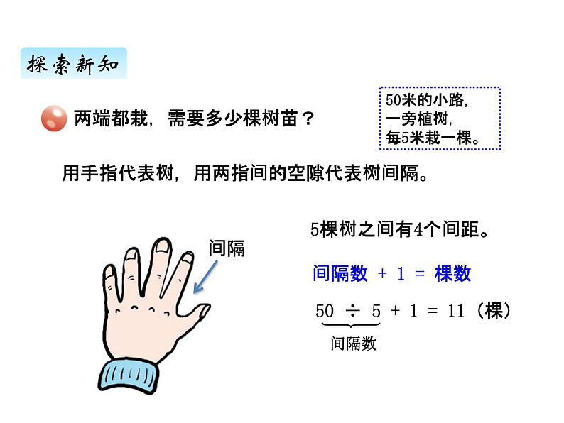 青岛版（六三制） 四年级数学上册智慧广场植树问题（课件）05