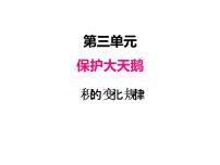 青岛版 (六三制)三 保护天鹅——三位数乘两位数教案配套ppt课件