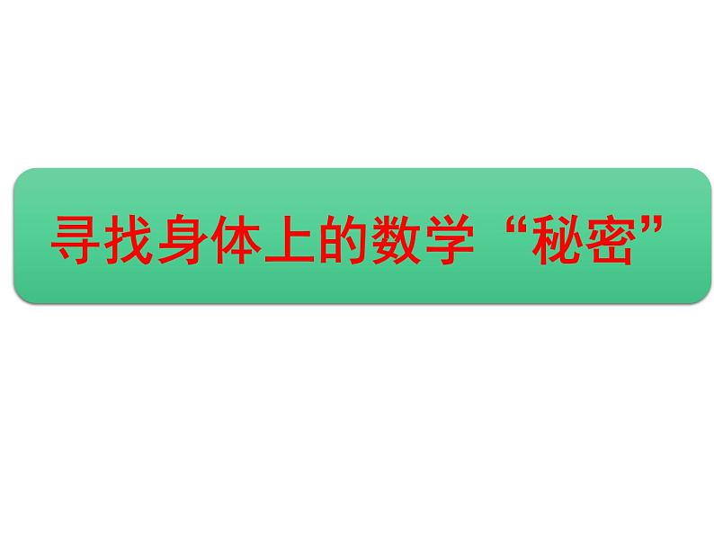 二年级上册数学课件-数学好玩-寻找身上的数学“秘密”（3）-北师大版01