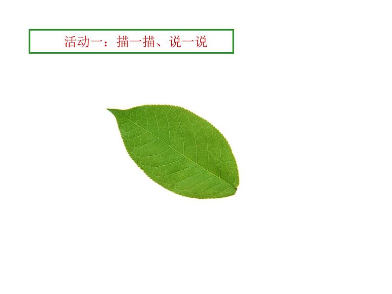 三年级上册数学课件-5.1 什么是周长（14）-北师大版第5页