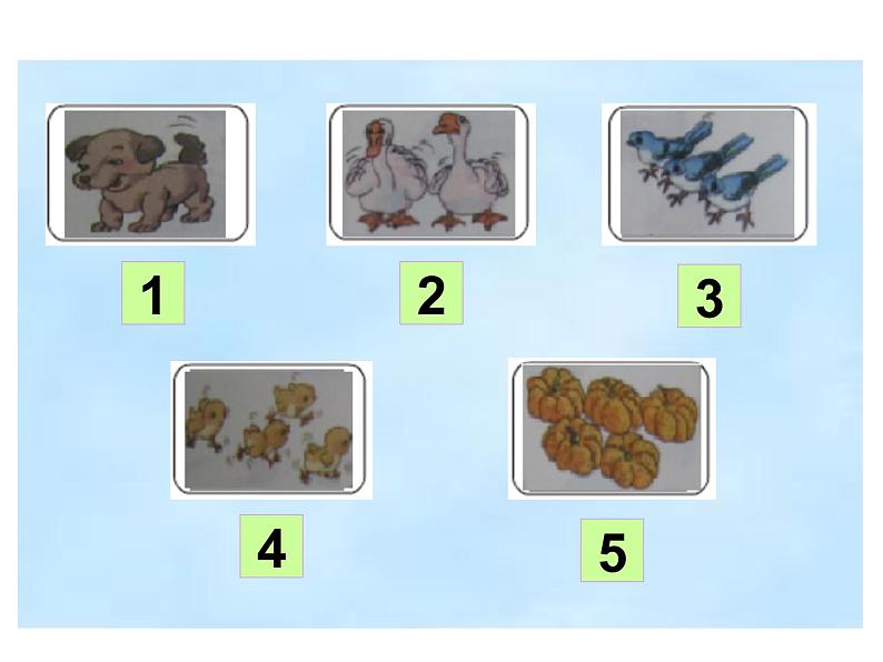 1.1 1～5的认识（8）（课件）数学一年级上册-西师大版05