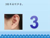 冀教版数学一年级上册 二 10以内数的认识-1~9_1 课件