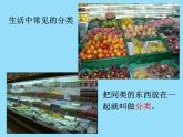 冀教版數(shù)學一年級上冊 分與整理類 課件