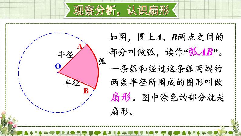 人教版数学六年级上册第五单元《4.扇形》课件第3页