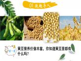 北师大版数学六年级上册  营养含量 同步课件